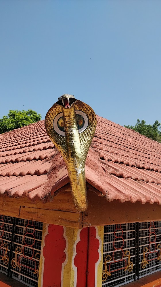 Shri Naganatha Swamy Temple, photo 4 of 13