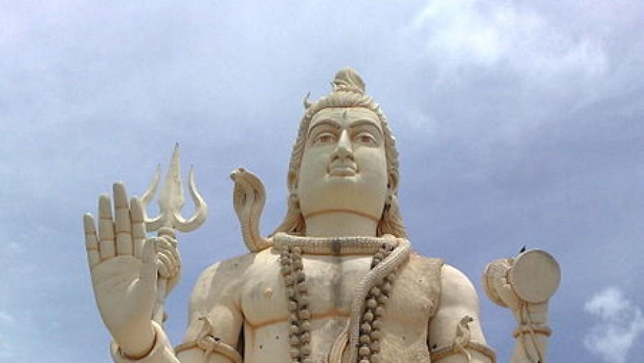 Shri Naganatha Swamy Temple, photo 1 of 13