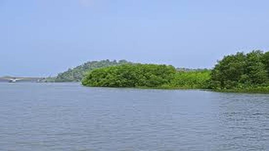 Kali River Estuary, photo 3 of 13