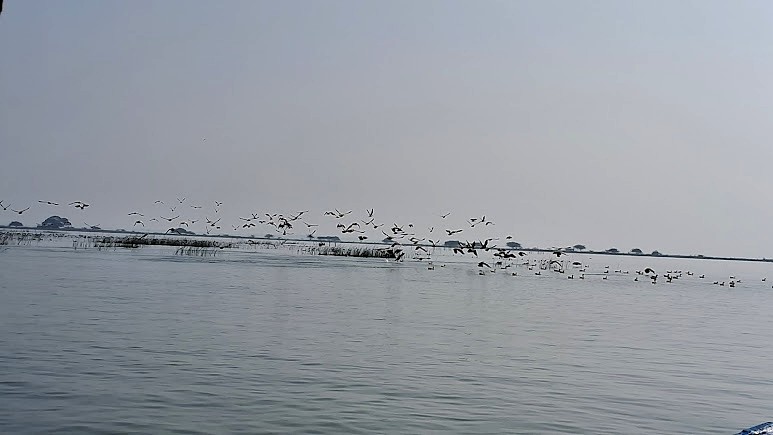 Chilika Lake, photo 2 of 7