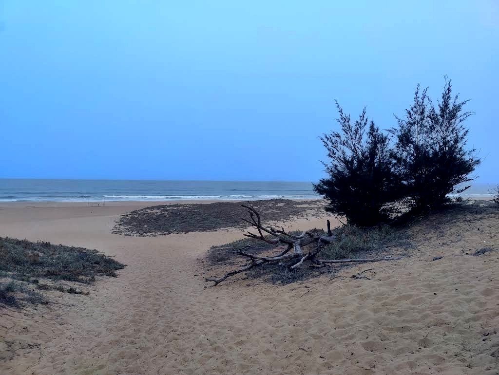 Balighai Beach ବାଲିଘାଇ ସମୁଦ୍ରକୂଳ, photo 1 of 5
