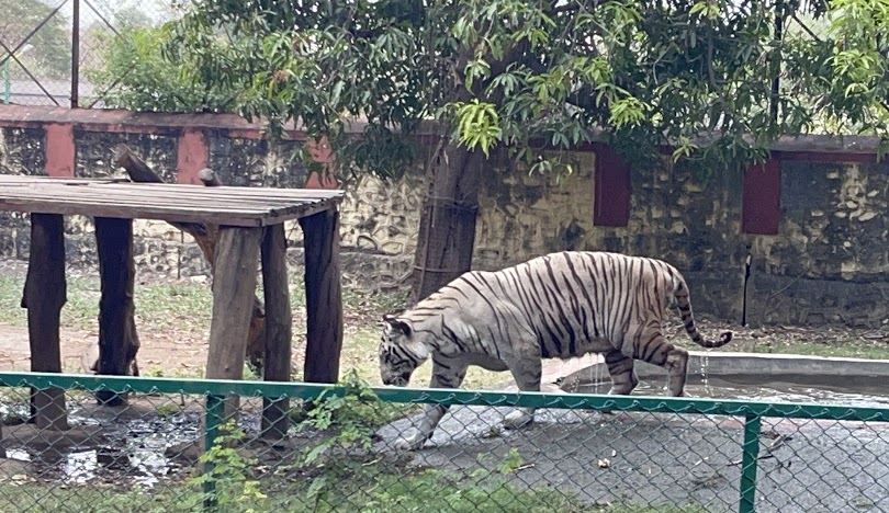 Siddharth Garden and Zoo, photo 2 of 8