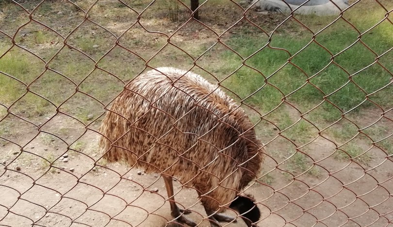 Siddharth Garden and Zoo, photo 3 of 8
