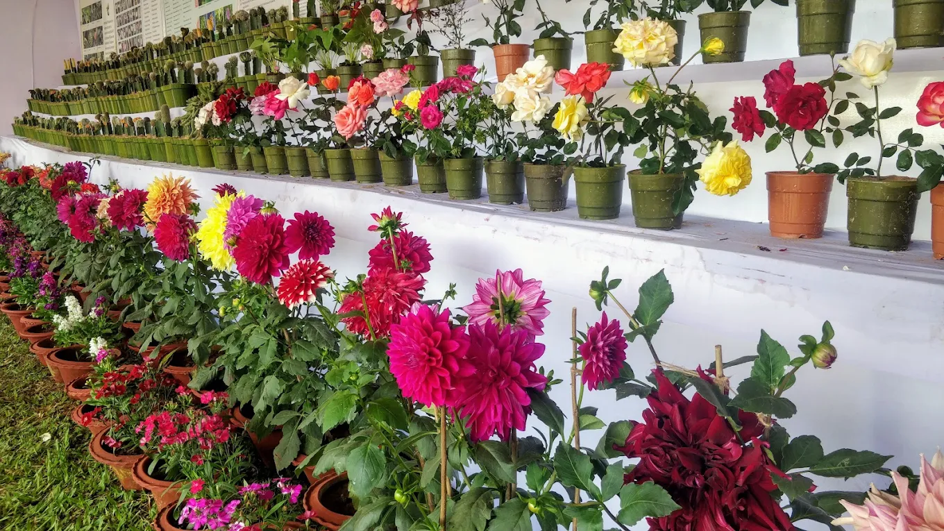 Bhubaneswar, Odisha, photo 2
