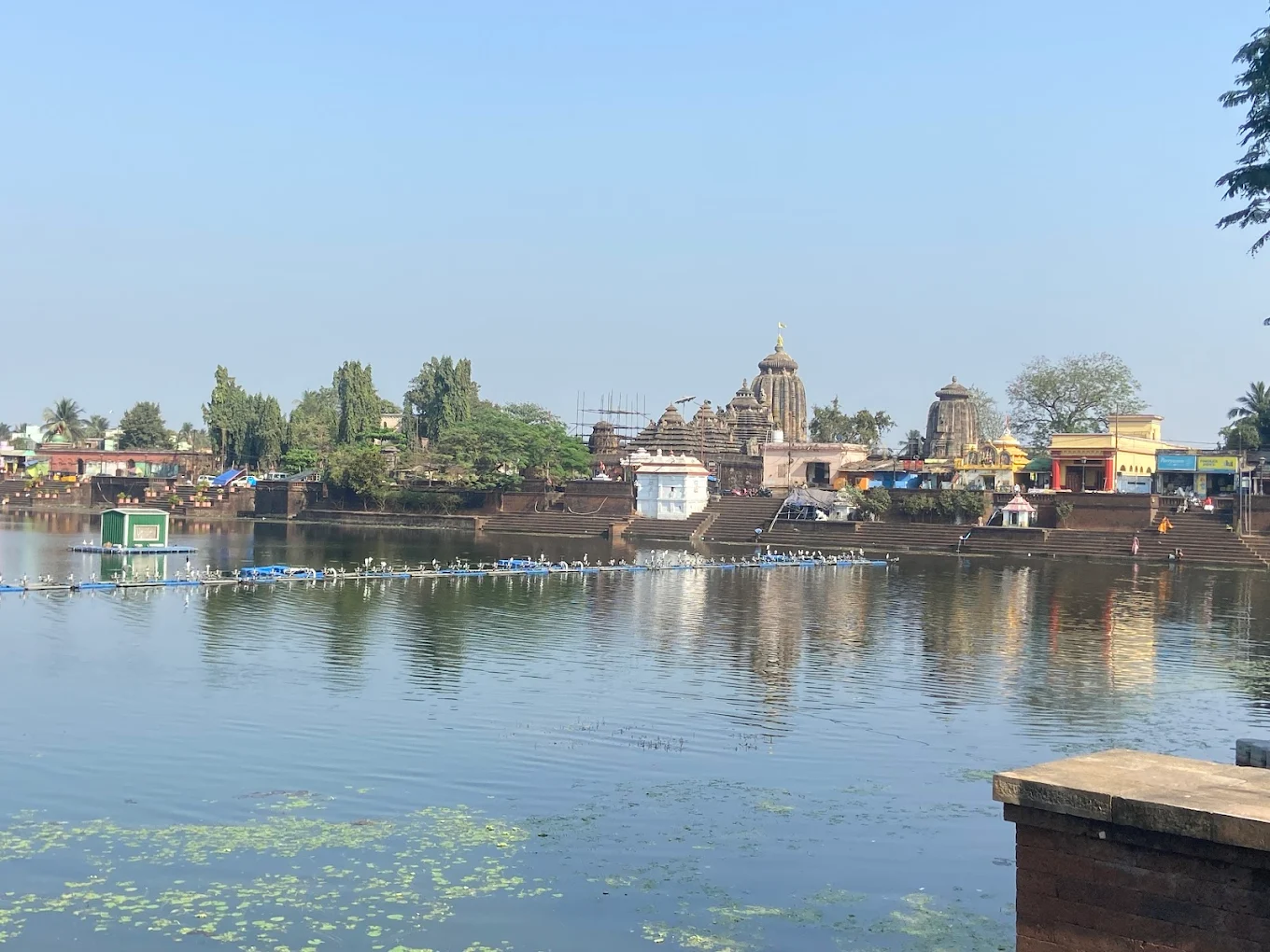 Ananta Vasudeva Temple, Bhubaneswar, photo 3 of 8