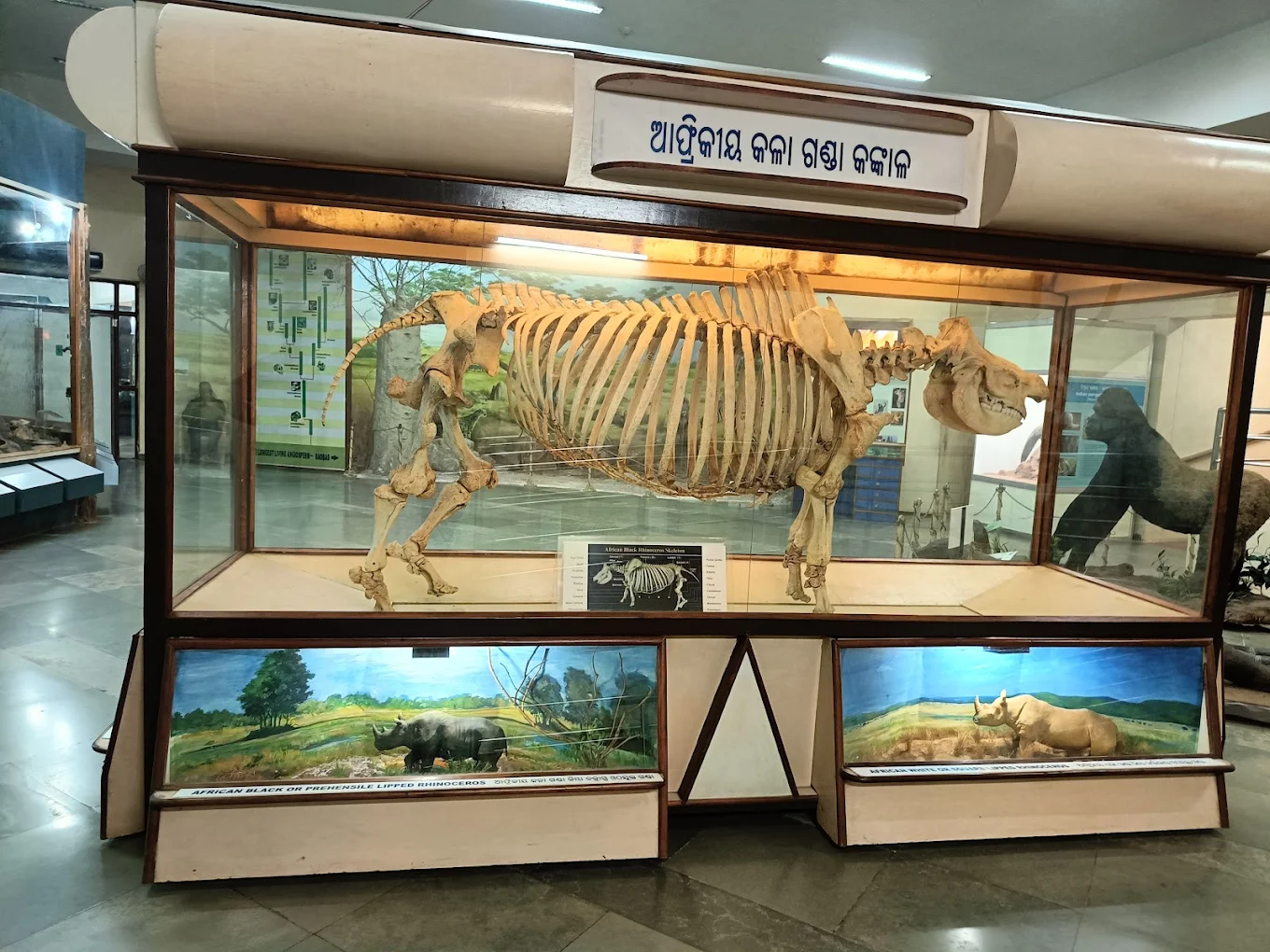 Regional Museum of Natural History, photo 2 of 8
