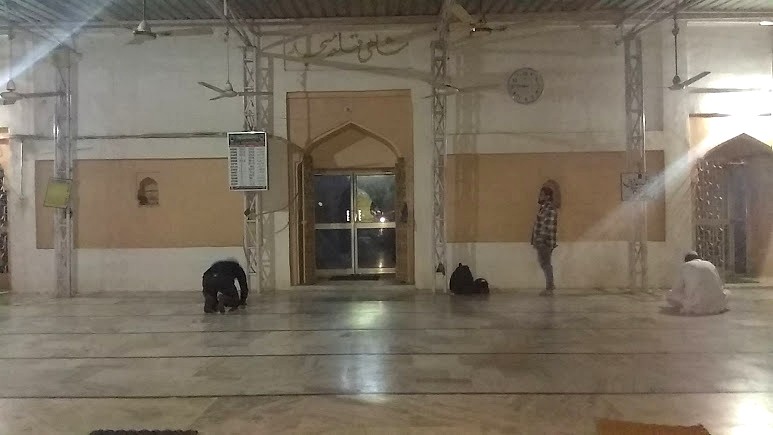 Shahi Qila Masjid, photo 3 of 7