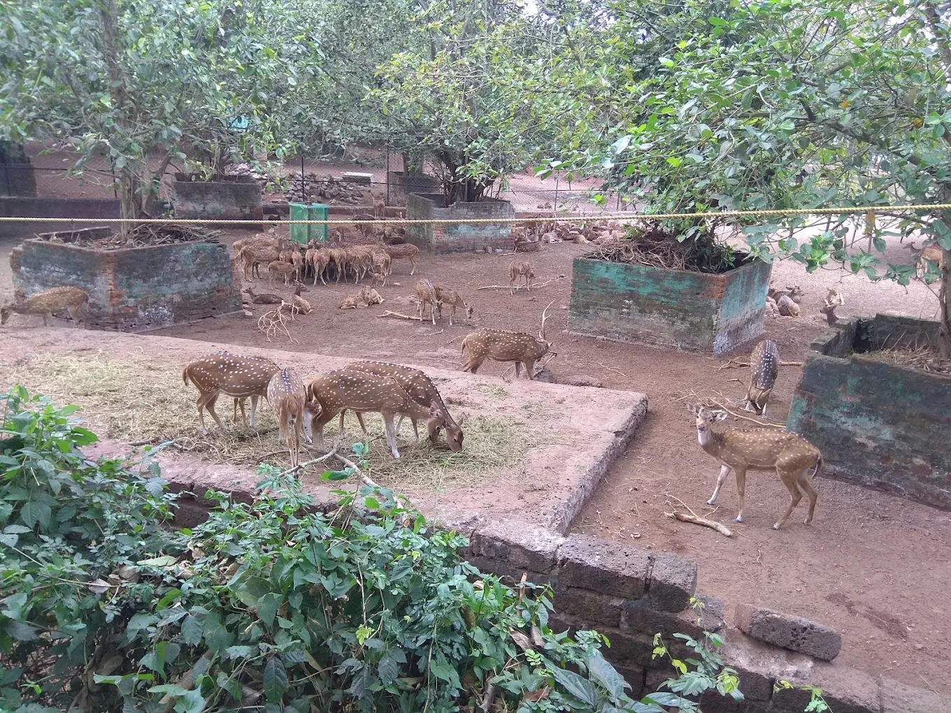 Angul, Odisha, photo 4