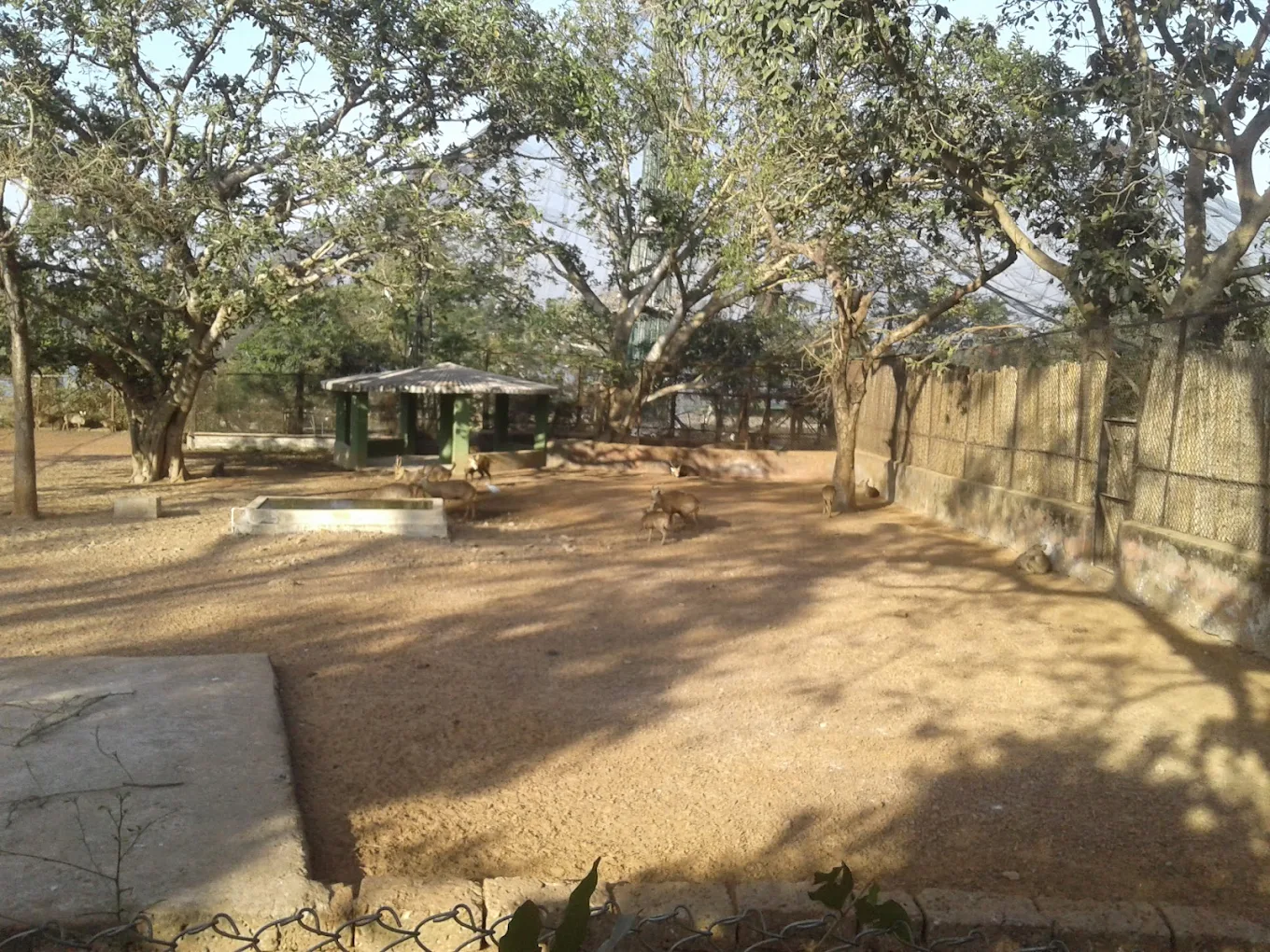 Deer Park, photo 3 of 6