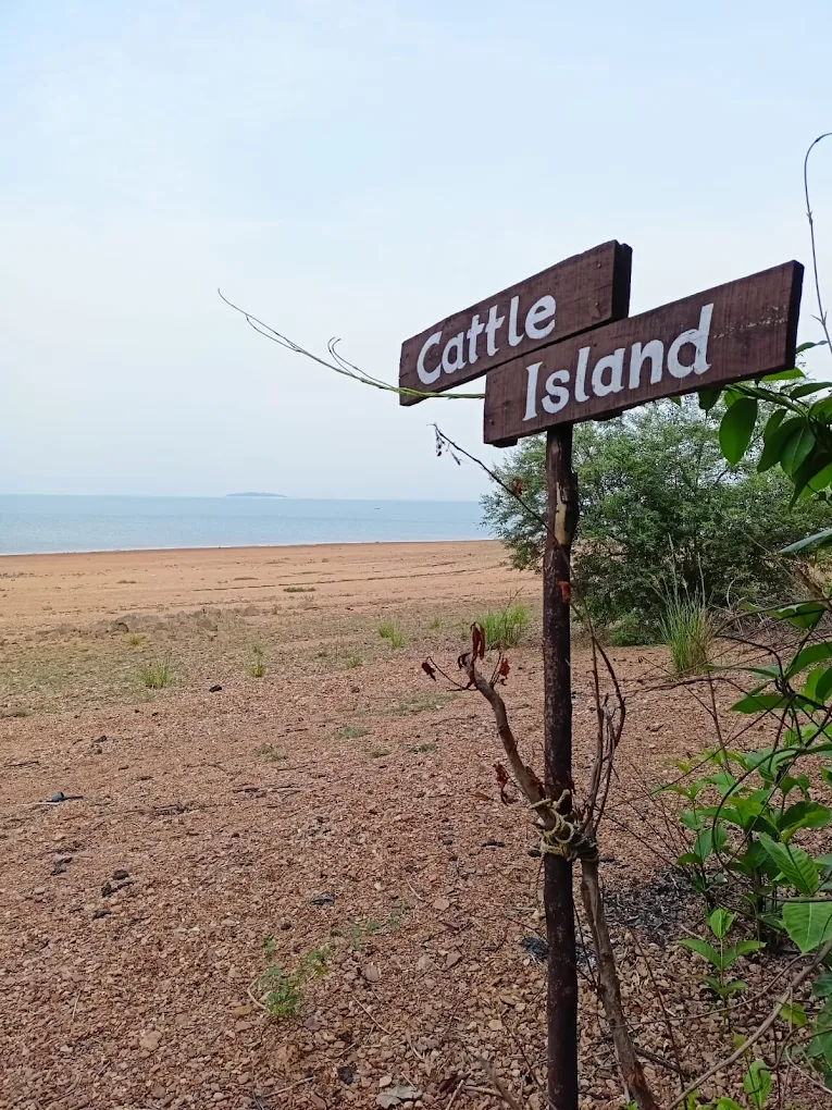 Cattle Island, photo 3 of 7