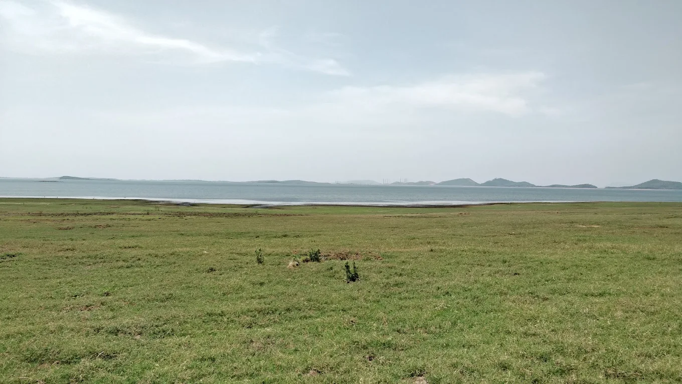 Cattle Island, photo 1 of 7