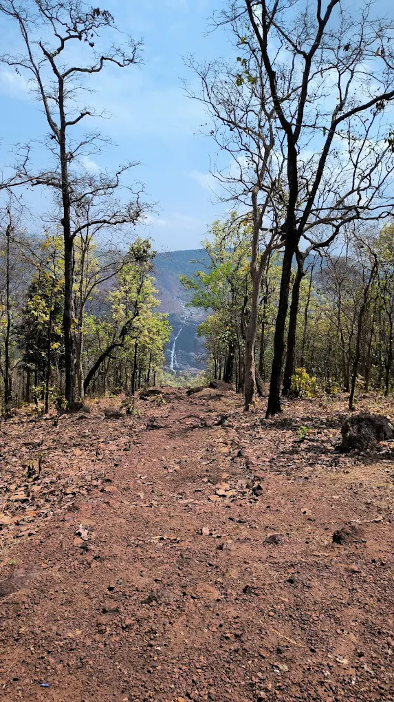 Barehipani Waterfall, photo 2 of 8