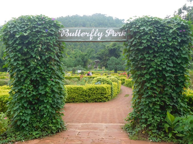Butterfly park, photo 1 of 10
