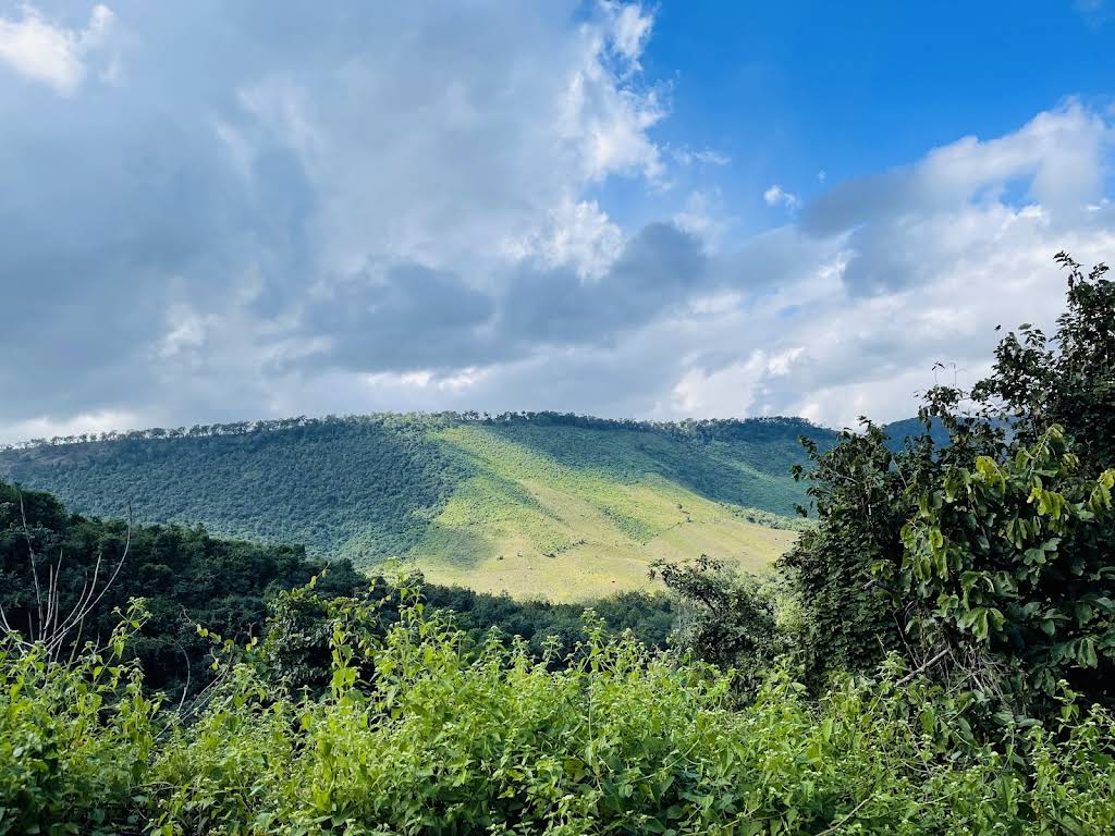 Belaghar, photo 3 of 8