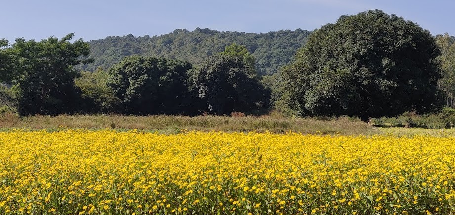 Nandapur, photo 1 of 7