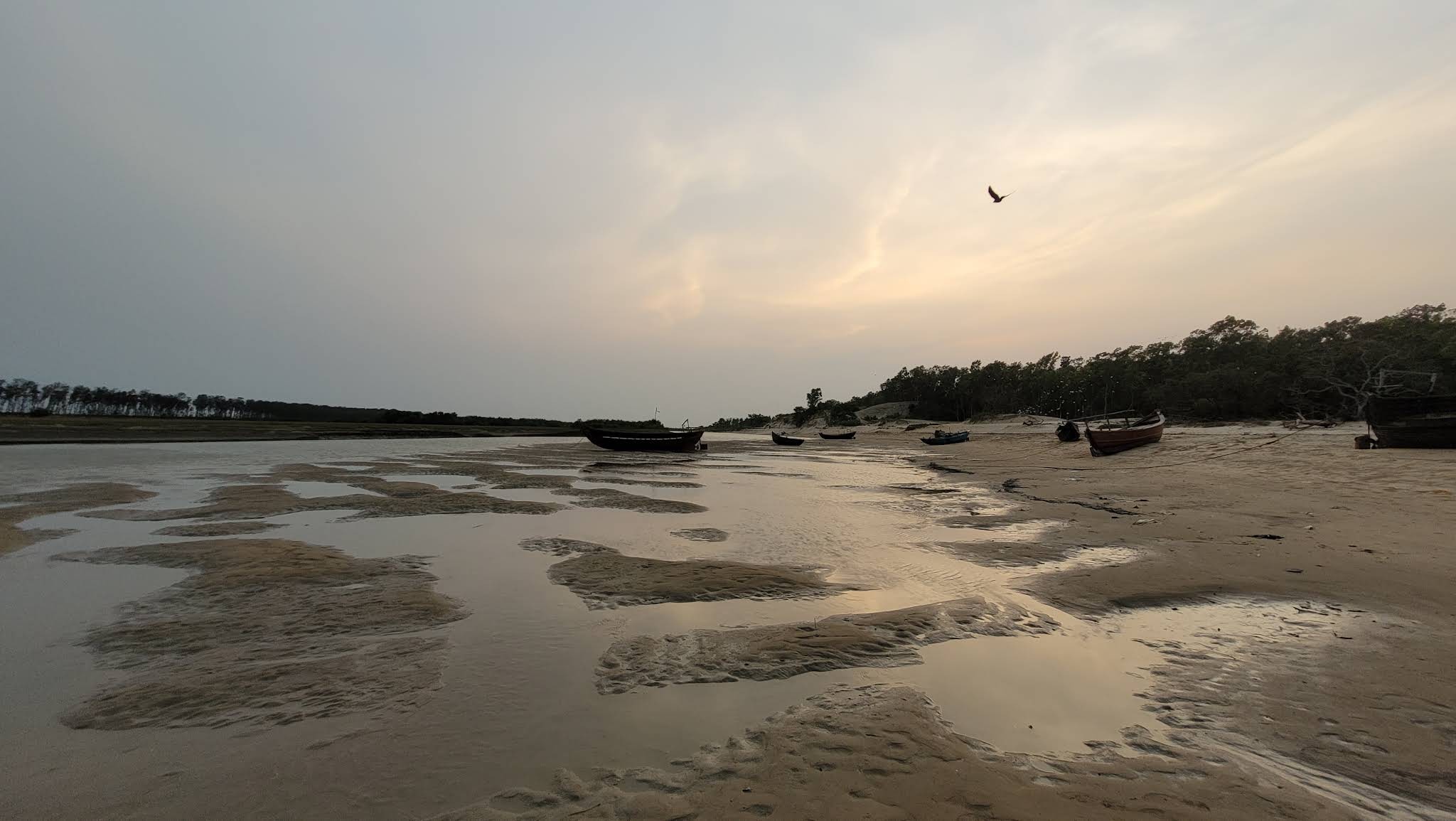 Talasari Beach, photo 1 of 8