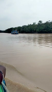 Bhitarkanika National Park, photo 3 of 12