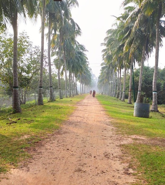 Bhitarkanika National Park, photo 4 of 12
