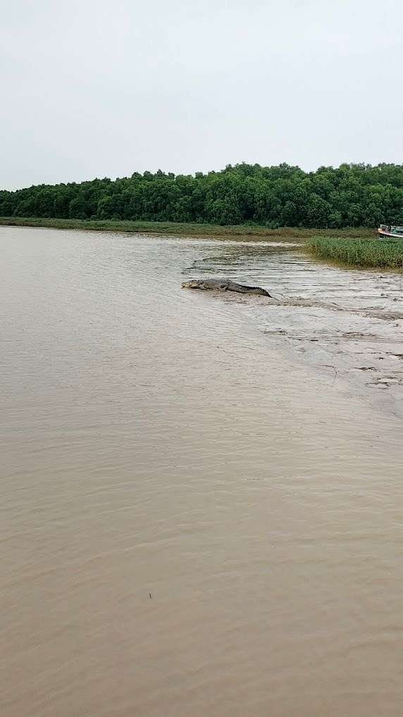 Bhitarkanika National Park, photo 2 of 12