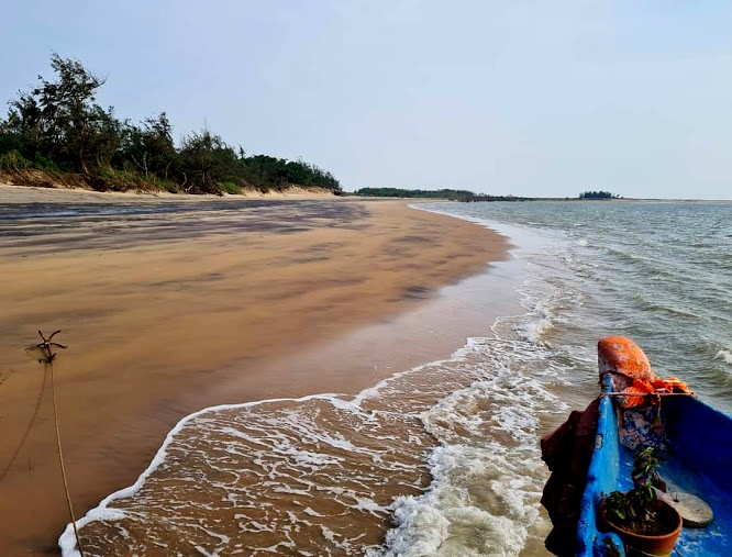 Gahirmatha Marine Sanctuary, photo 2 of 8