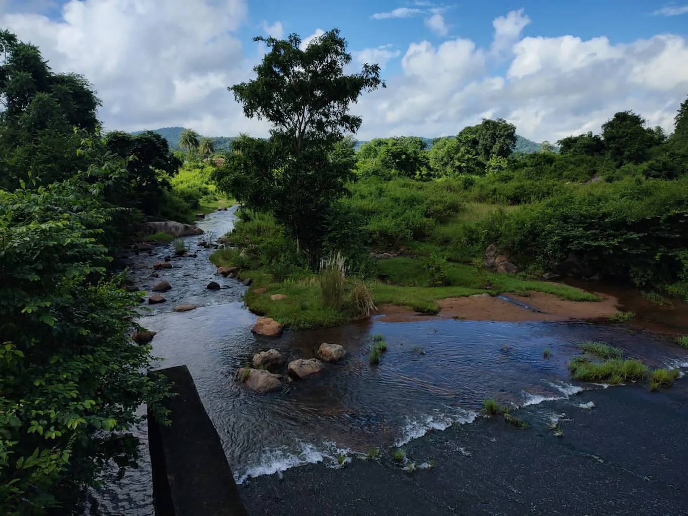 Satkosia Tiger Reserve, photo 1 of 12