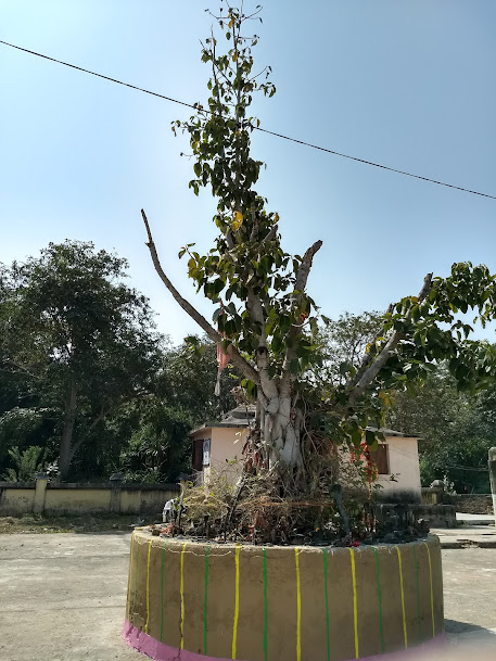 Deulajhari Hot Spring, photo 1 of 7
