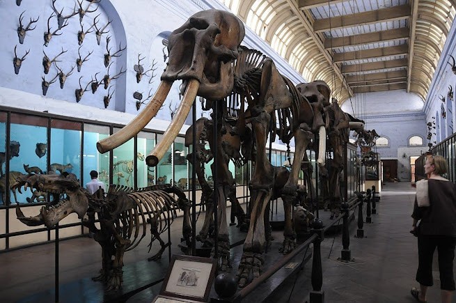 Indian Museum, photo 1 of 15