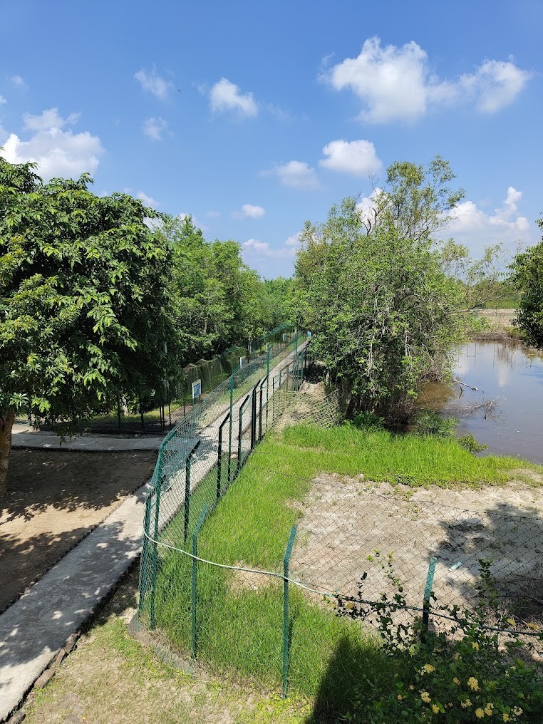 Mangrove Interpretation Centre, photo 4 of 4