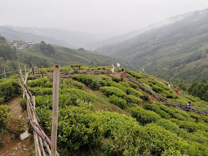 Tea Garden View, photo 2 of 5