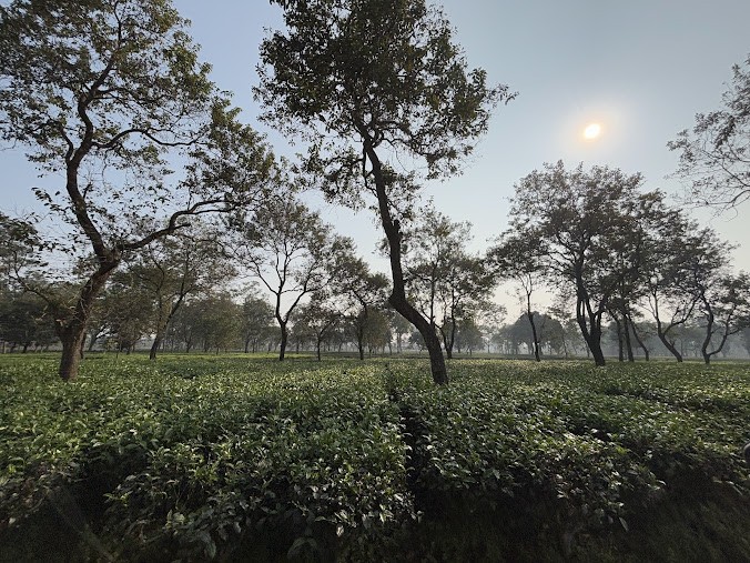Cooch Behar, West Bengal, photo 4