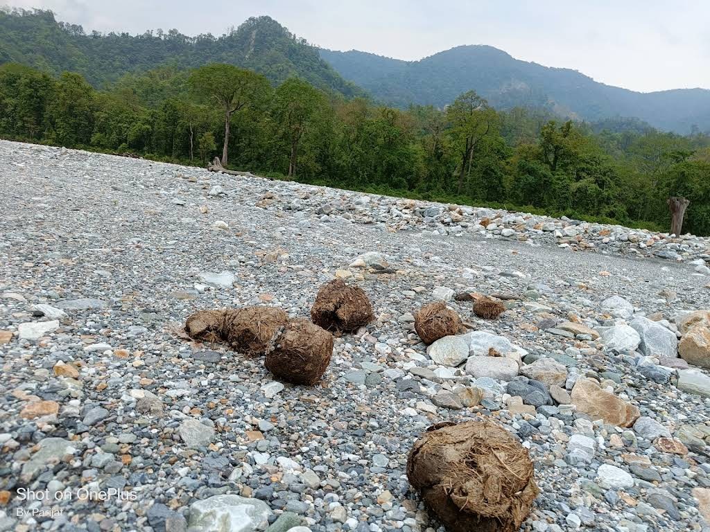Jayanti Riverbed, photo 1 of 9