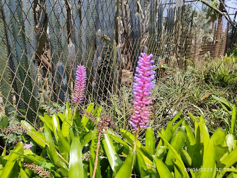 Caktus Nursery, photo 4 of 8