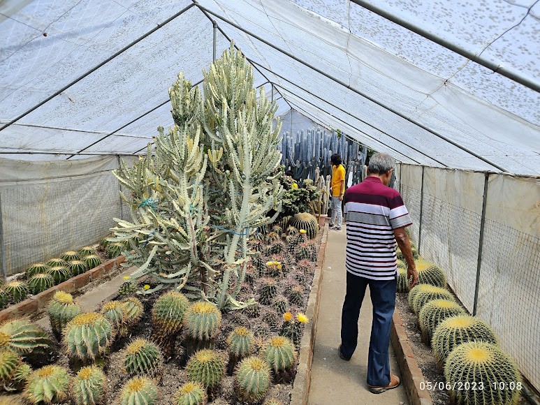 Caktus Nursery, photo 2 of 8