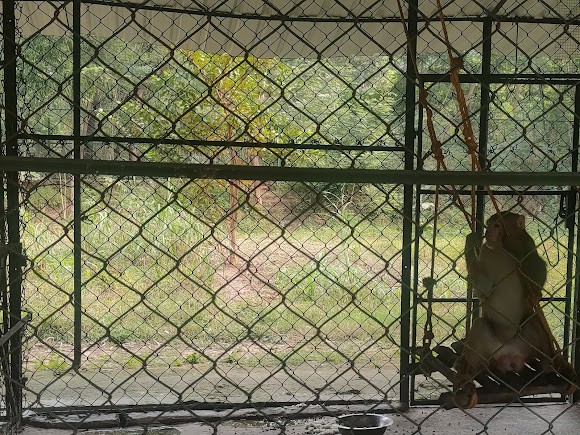Eco Park, photo 3 of 5