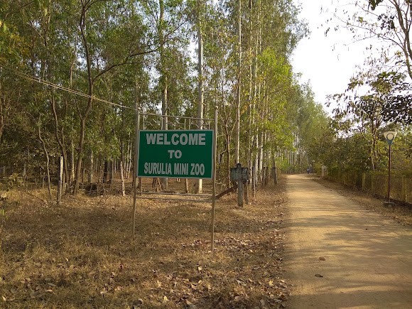 Eco Park, photo 1 of 5