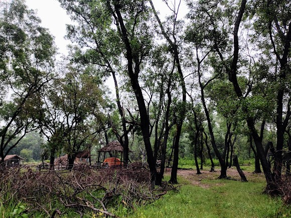 Purulia, West Bengal, photo 2