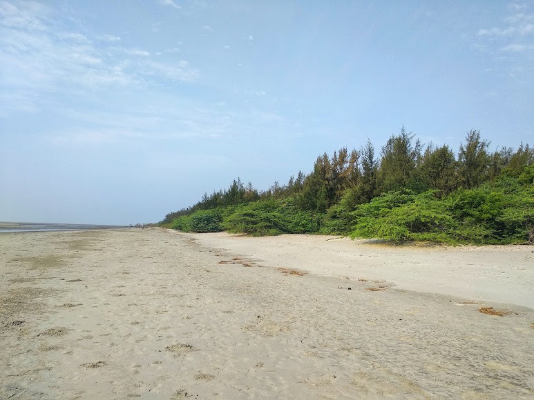 Henry Island, West Bengal, photo 2