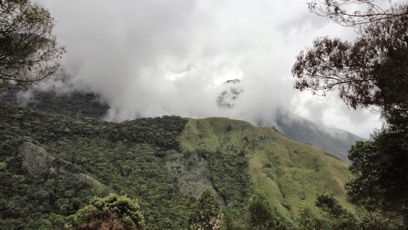 Munnar, Kerala, photo 2