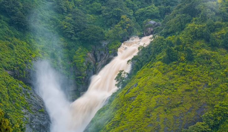 Munnar, Kerala, photo 4