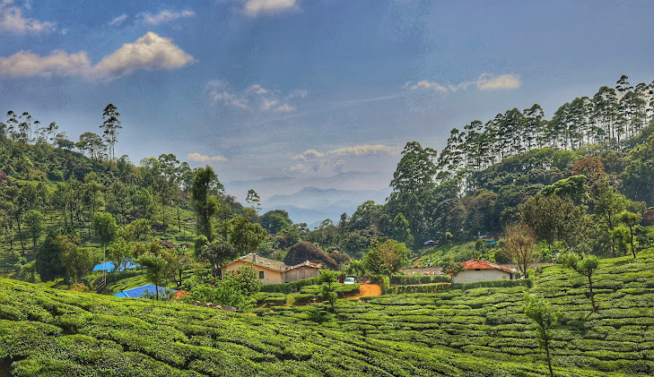 Munnar, Kerala