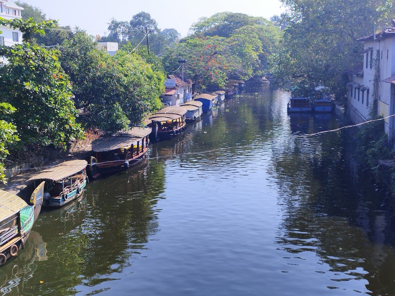 Alleppey Backwaters, photo 2 of 6