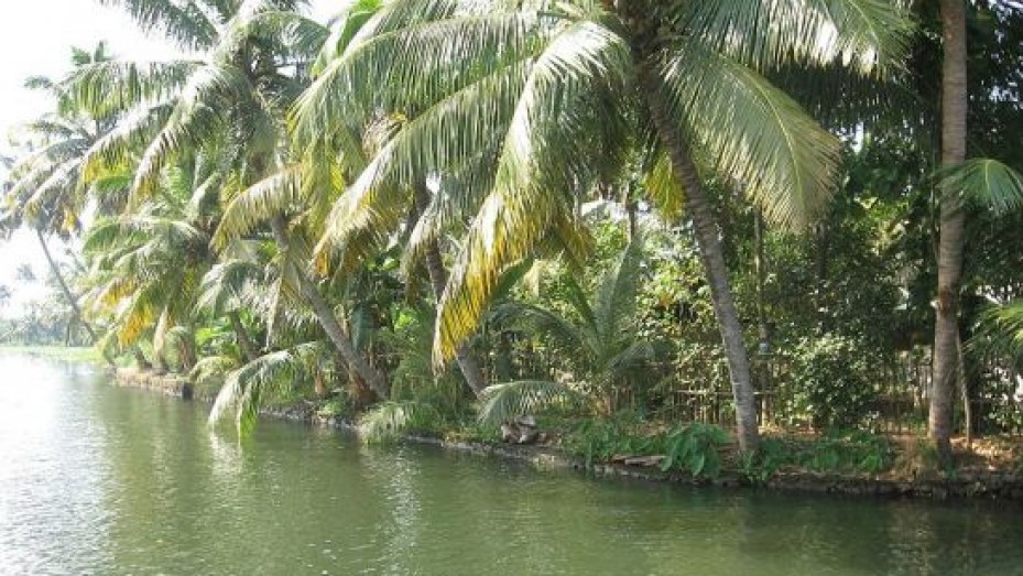 Kuttanad, photo 3 of 5