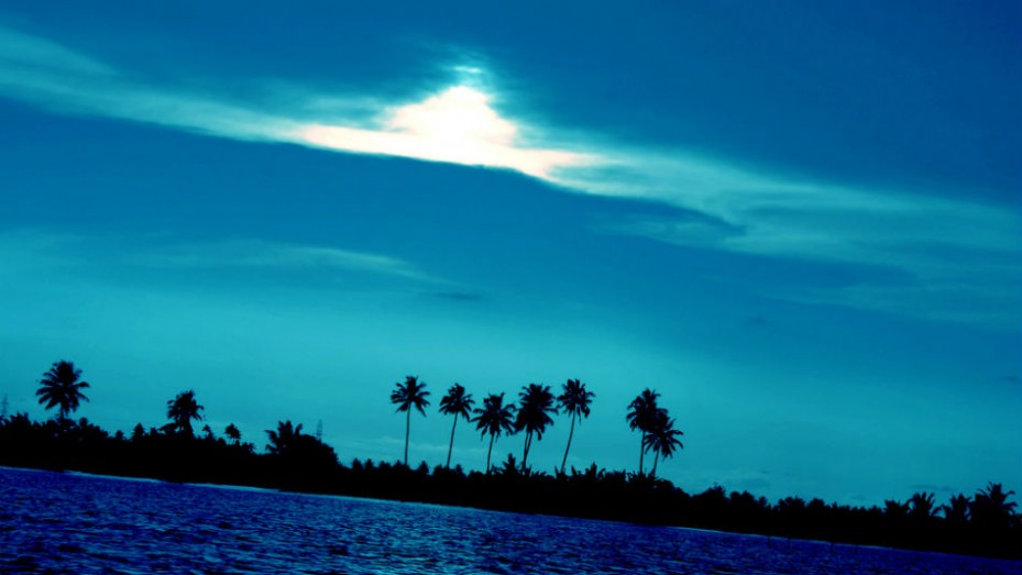 Kuttanad, photo 4 of 5