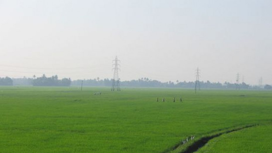 Kuttanad, photo 1 of 5