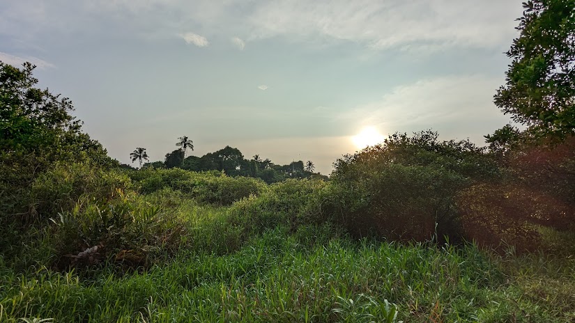 Kumarakom, Kerala, photo 2