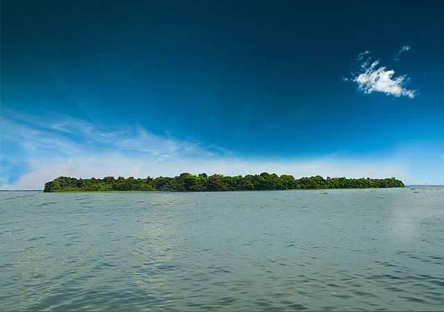 Pathiramanal Island, photo 4 of 7