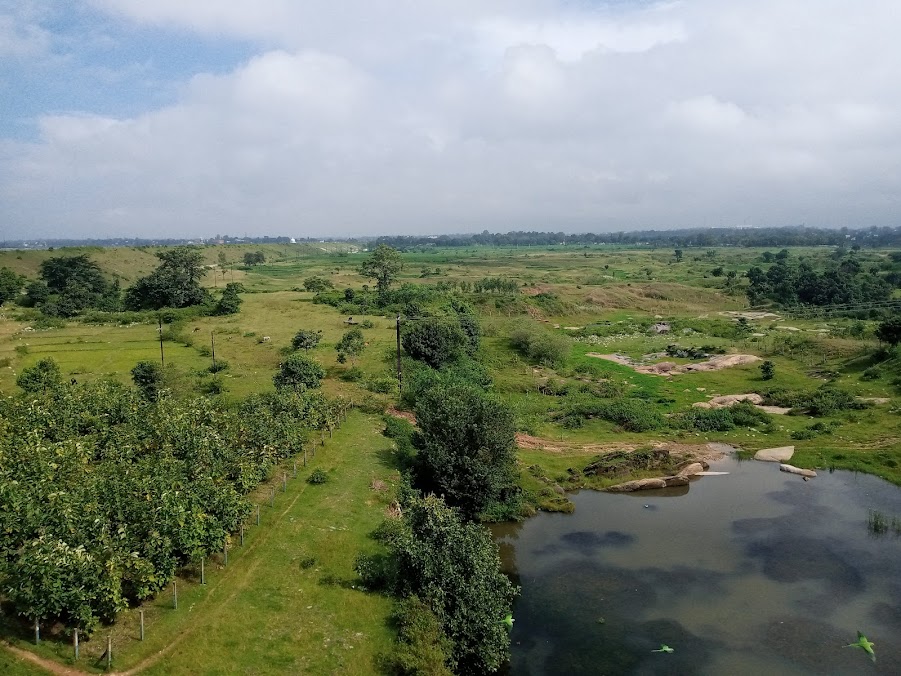 Ranchi Lake, photo 2 of 7