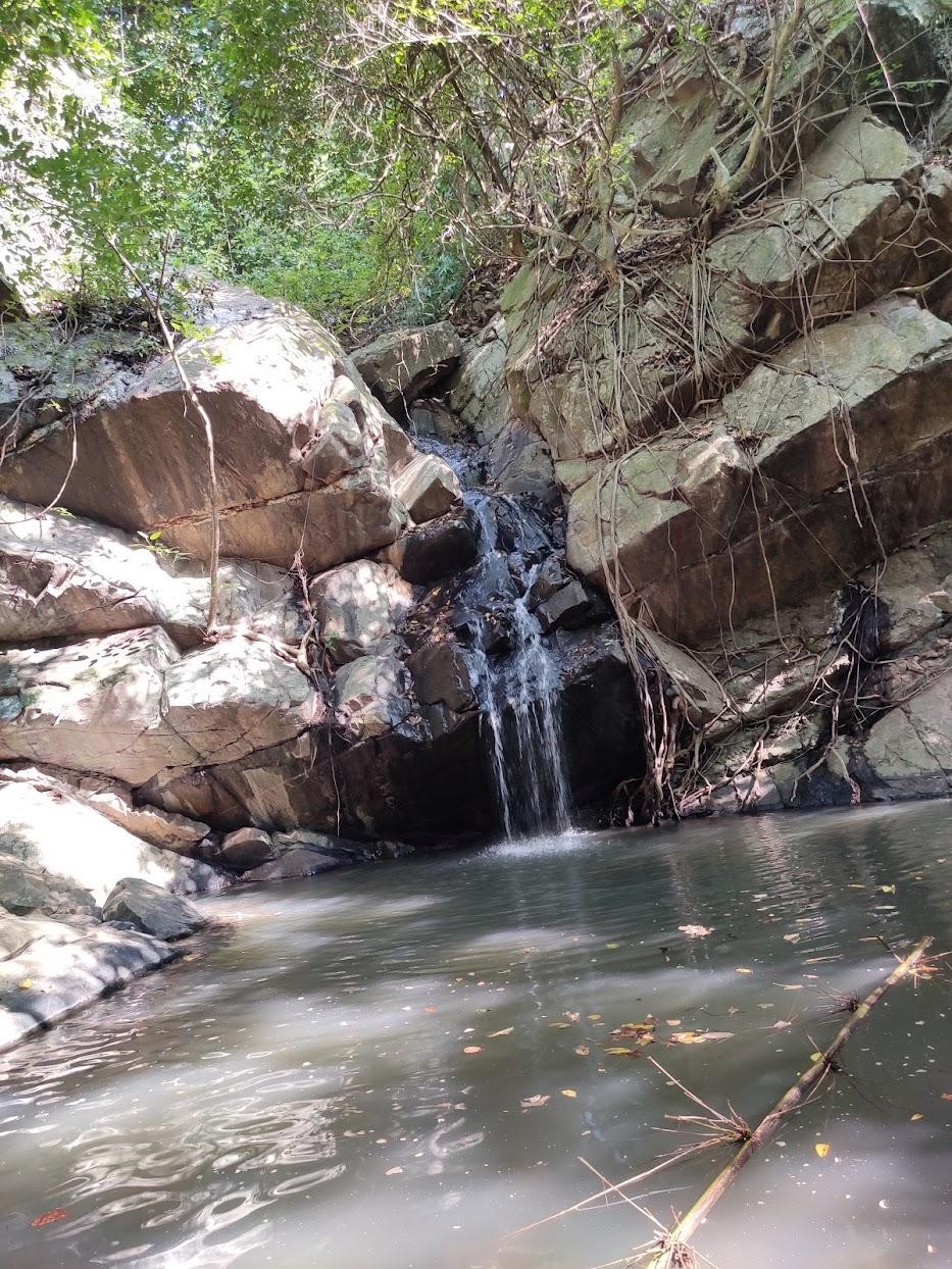 Lower Ghaghri Falls, photo 3 of 9