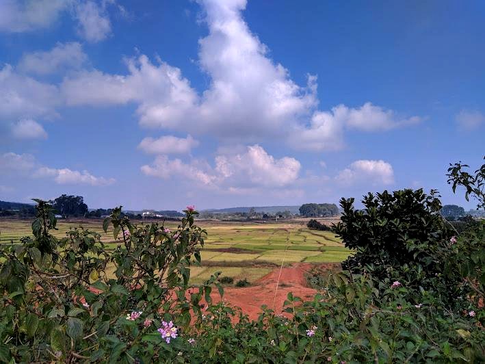Netarhat DAM Water Supply, photo 1 of 14