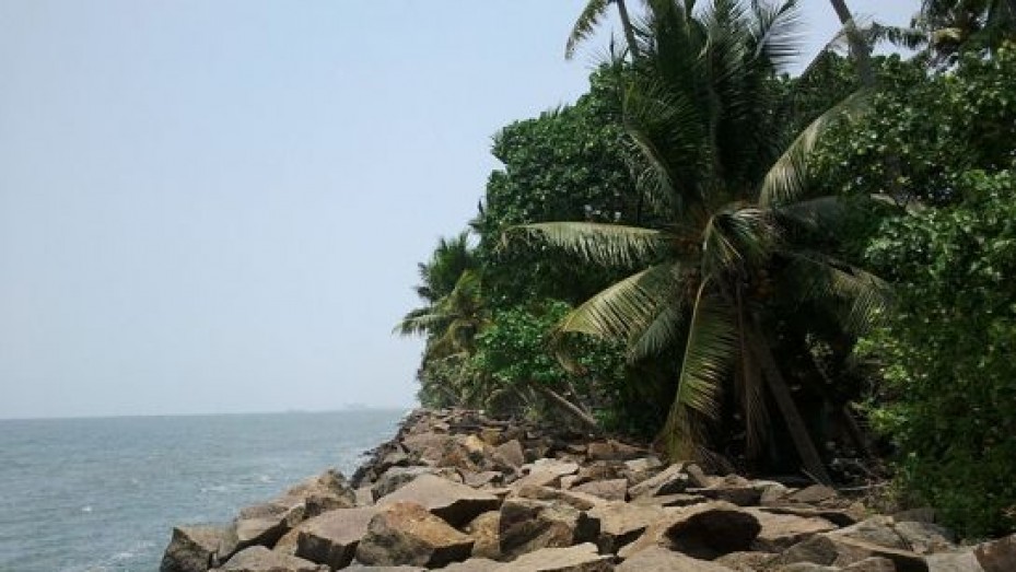 Kochi, Kerala, photo 2